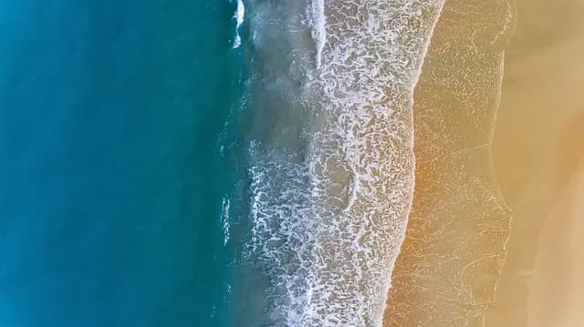 Les incontournables d'une expérience immersive en voyage