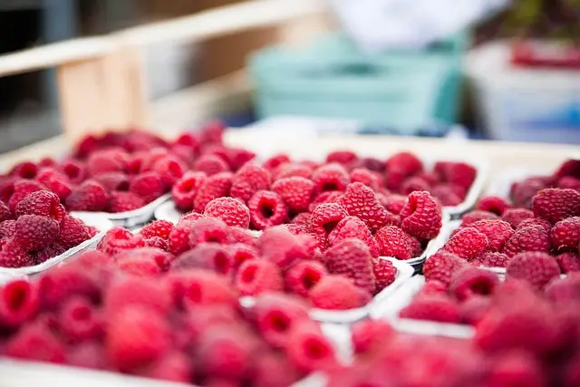 Comment vivre une expérience culinaire inoubliable en voyage