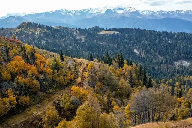 10 astuces pour planifier un voyage inoubliable