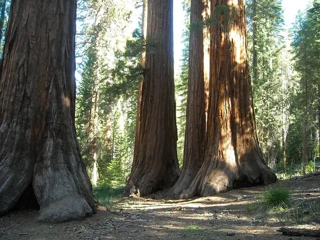 Les 10 expériences inoubliables à vivre absolument en voyage