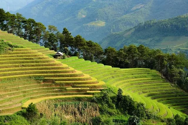Pourquoi choisir une destination écoresponsable pour vos voyages