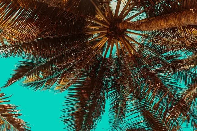 Comment choisir la meilleure destination pour votre voyage inoubliable
