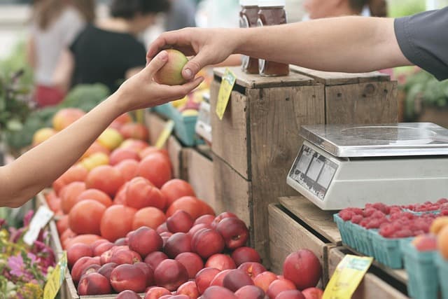 Les secrets pour un voyage inoubliable à petit budget
