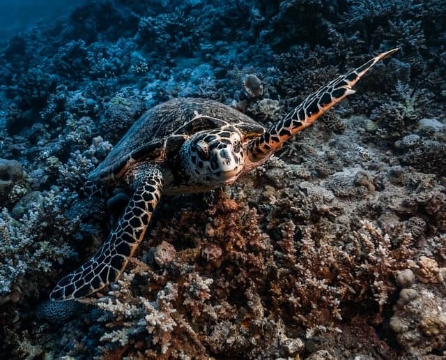 Les meilleures expériences de voyage à vivre absolument