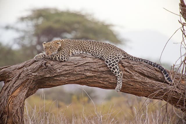 Top 10 des expériences de voyage inoubliables à vivre