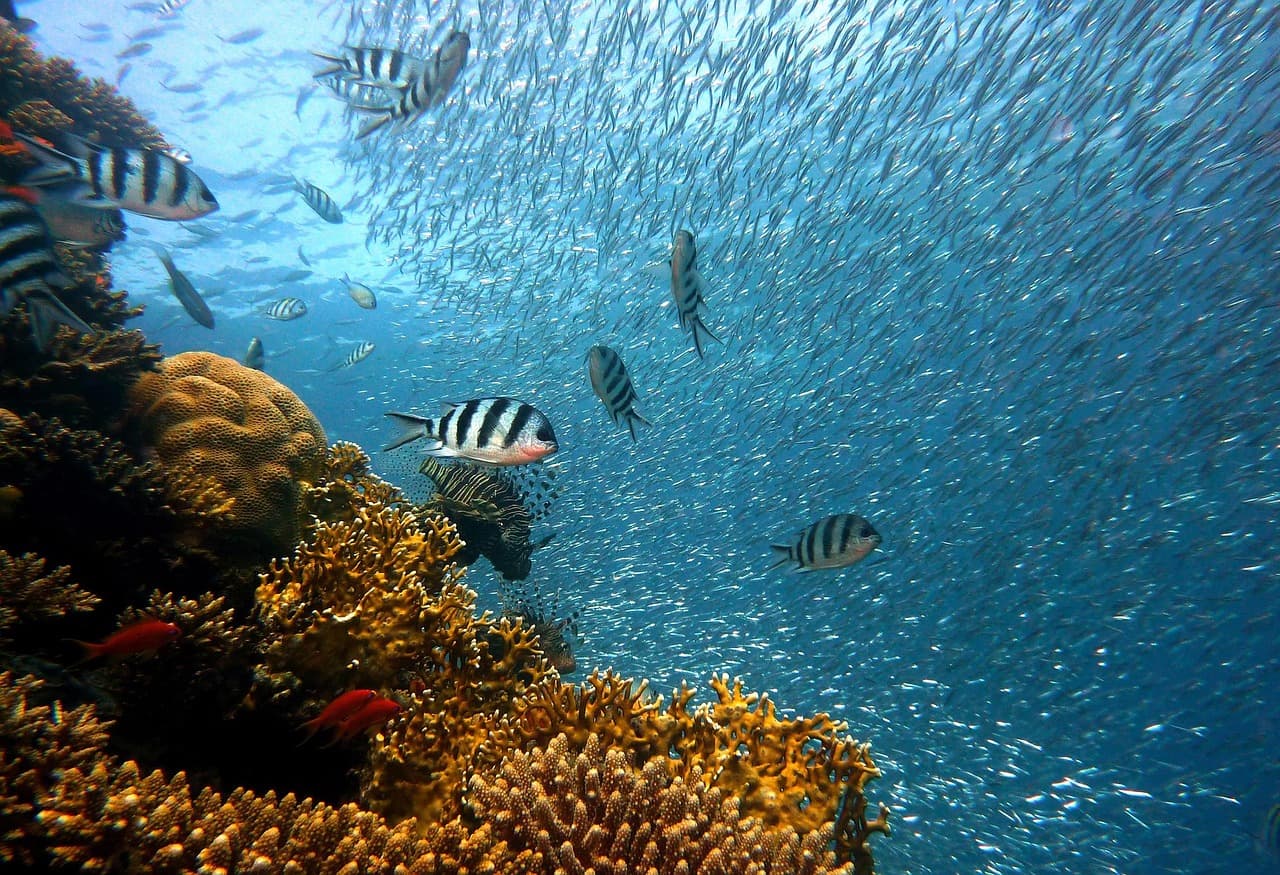 Les meilleures activités à découvrir pour un voyage inoubliable